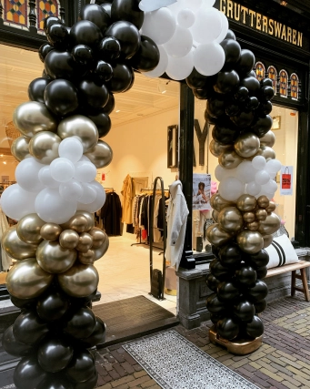 Organic ballonnenboog 