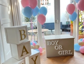  Gender Reveal