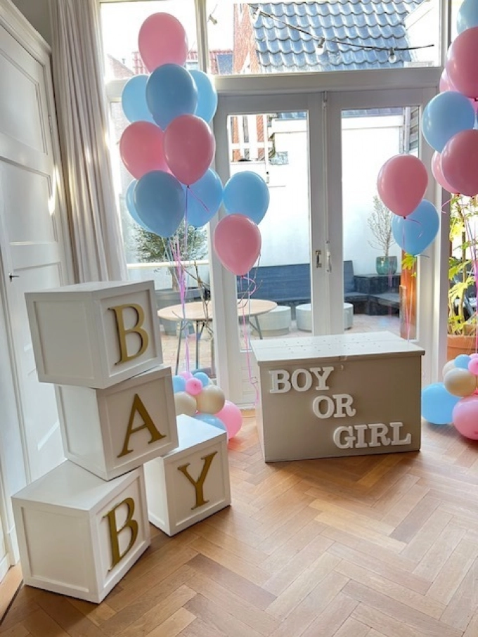  Gender Reveal