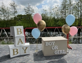  Gender Reveal
