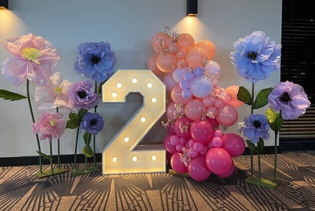 Bekijk al onze ballonnen