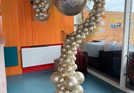  Gender Reveal