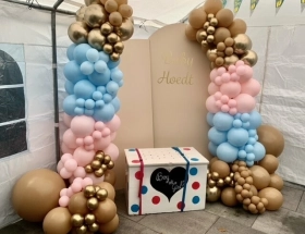 Gender Reveal XL set up