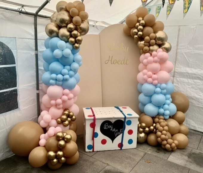 Gender Reveal XL set up