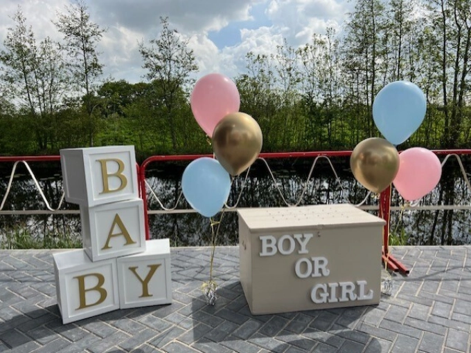  Gender Reveal